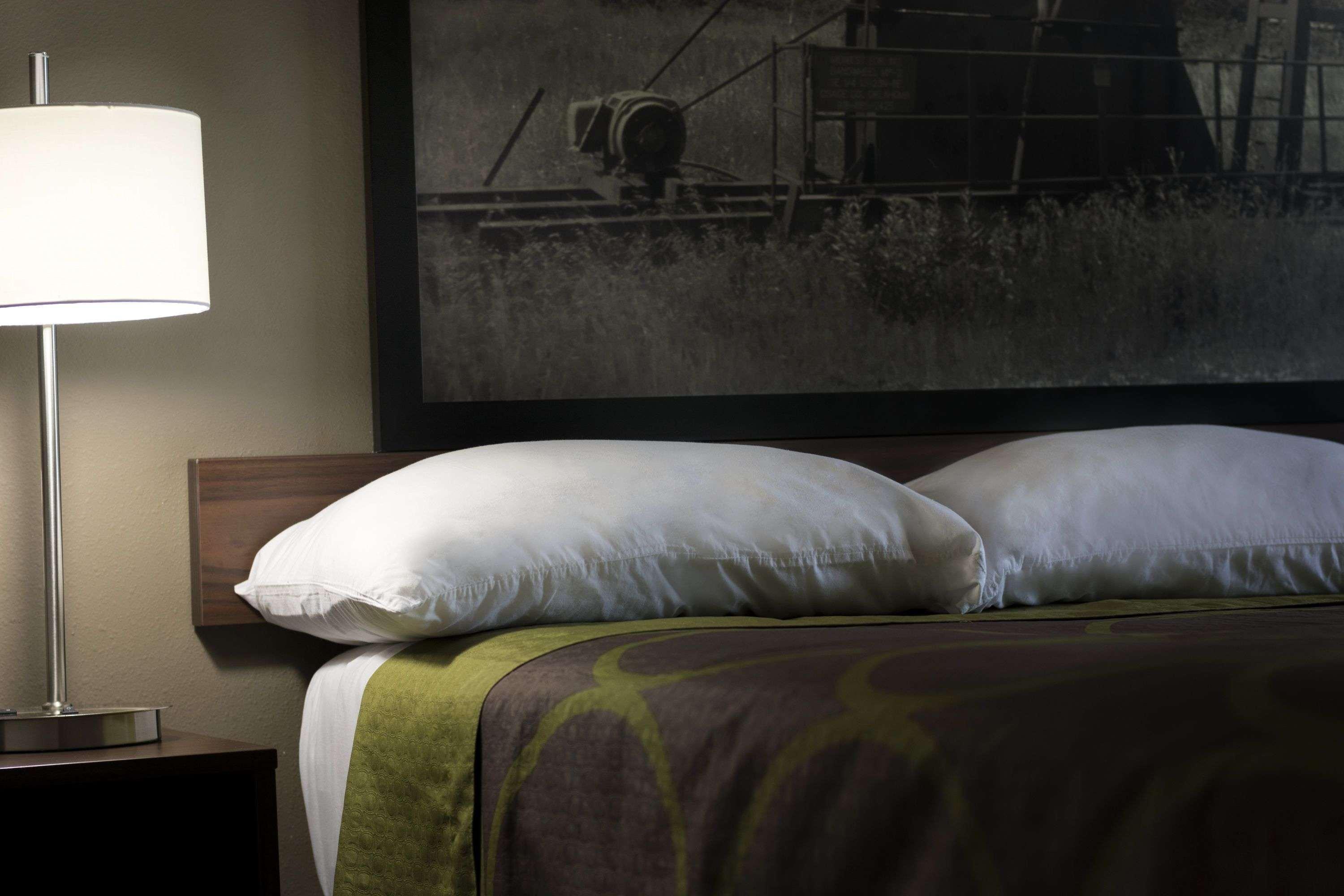 Super 8 By Wyndham Ardmore